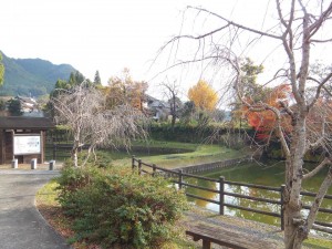 いけ